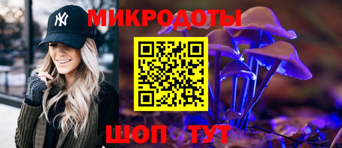 Псилоцибиновые грибы Psilocybine cubensis  Вход с VPN  что такое   Артём 